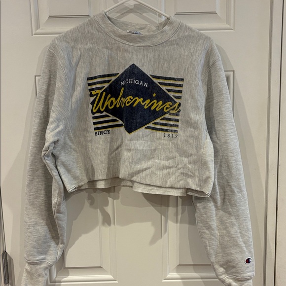 Champion Gray Reverse Weave Sweatshirt - Picture 1 of 6